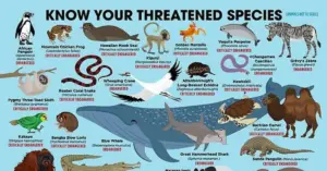 Characteristics Of Threatened Species